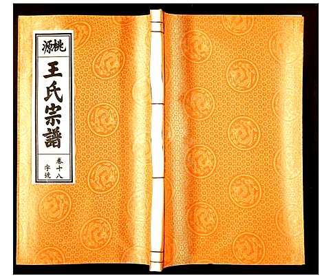 [下载][王氏宗谱]安徽.王氏家谱_十六.pdf