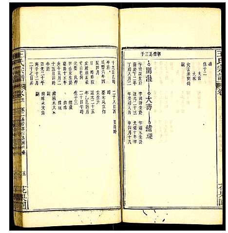 [下载][王氏宗谱]安徽.王氏家谱_七.pdf