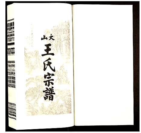 [下载][王氏宗谱]安徽.王氏家谱_五.pdf