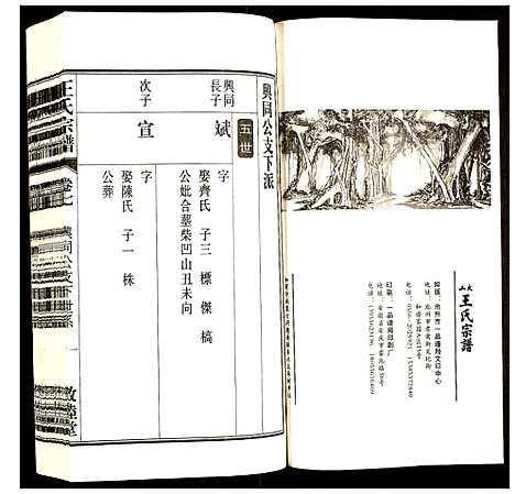 [下载][王氏宗谱]安徽.王氏家谱_八.pdf