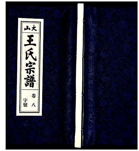 [下载][王氏宗谱]安徽.王氏家谱_九.pdf