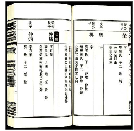 [下载][王氏宗谱]安徽.王氏家谱_九.pdf