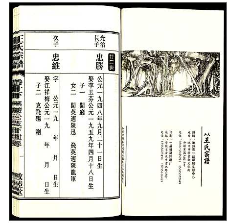 [下载][王氏宗谱]安徽.王氏家谱_十二.pdf