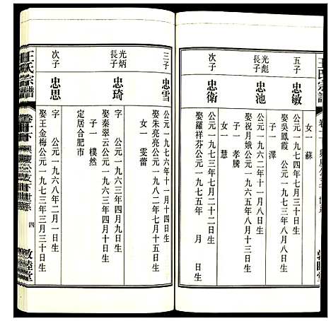 [下载][王氏宗谱]安徽.王氏家谱_十二.pdf