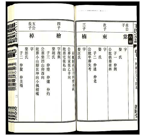 [下载][王氏宗谱]安徽.王氏家谱_十三.pdf