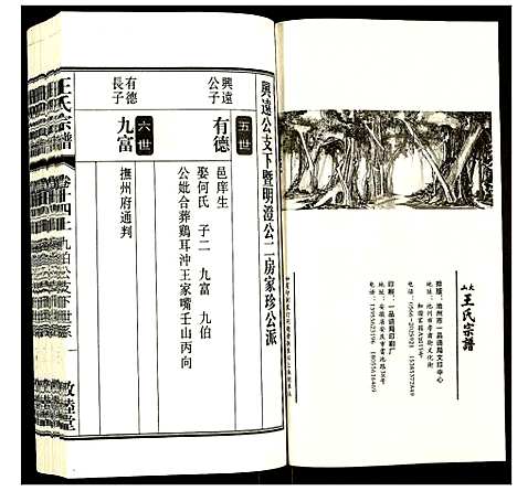 [下载][王氏宗谱]安徽.王氏家谱_十六.pdf