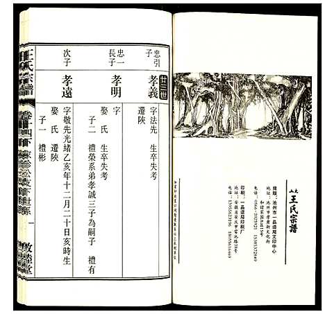 [下载][王氏宗谱]安徽.王氏家谱_十七.pdf