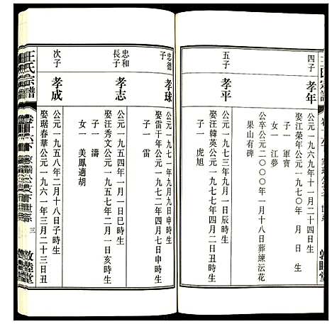 [下载][王氏宗谱]安徽.王氏家谱_二十.pdf