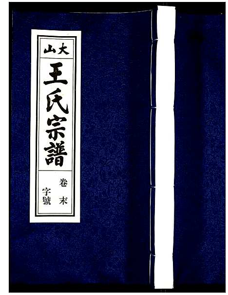 [下载][王氏宗谱]安徽.王氏家谱_二十九.pdf