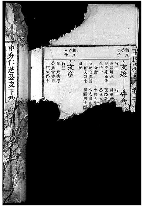 [下载][王氏宗谱_10卷]安徽.王氏家谱_三.pdf