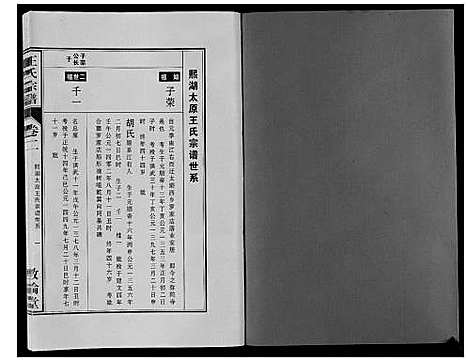 [下载][王氏宗谱_12卷首2卷]安徽.王氏家谱_三.pdf