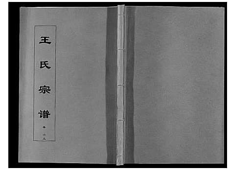 [下载][王氏宗谱_12卷首2卷]安徽.王氏家谱_十一.pdf