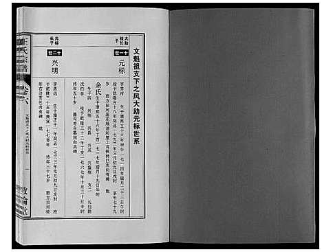 [下载][王氏宗谱_12卷首2卷]安徽.王氏家谱_十一.pdf