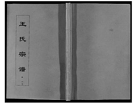 [下载][王氏宗谱_12卷首2卷]安徽.王氏家谱_十二.pdf