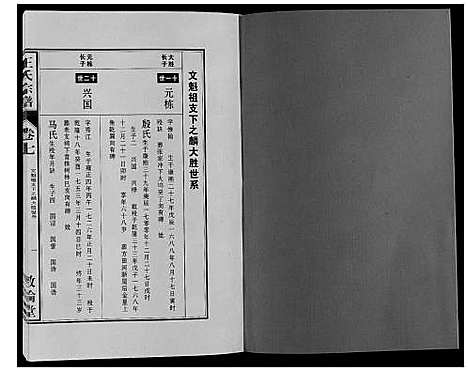 [下载][王氏宗谱_12卷首2卷]安徽.王氏家谱_十四.pdf