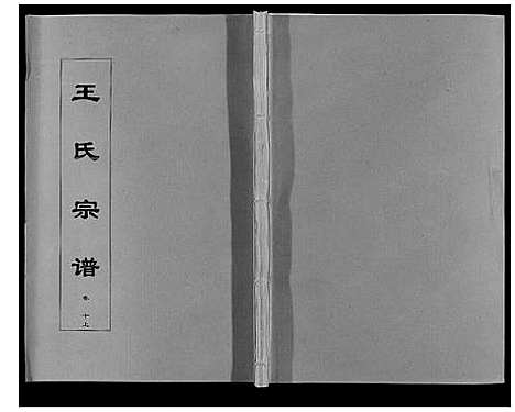 [下载][王氏宗谱_12卷首2卷]安徽.王氏家谱_十九.pdf