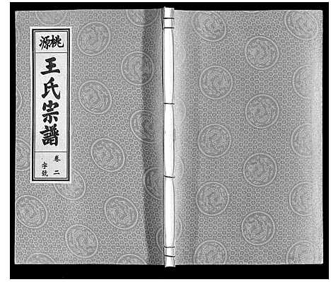 [下载][王氏宗谱_18卷首末各1卷]安徽.王氏家谱_三.pdf