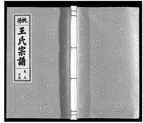 [下载][王氏宗谱_18卷首末各1卷]安徽.王氏家谱_六.pdf