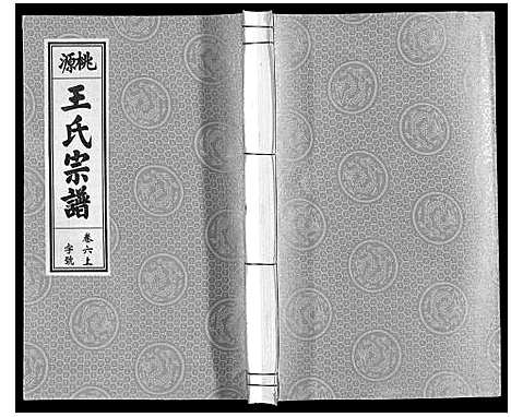 [下载][王氏宗谱_18卷首末各1卷]安徽.王氏家谱_七.pdf