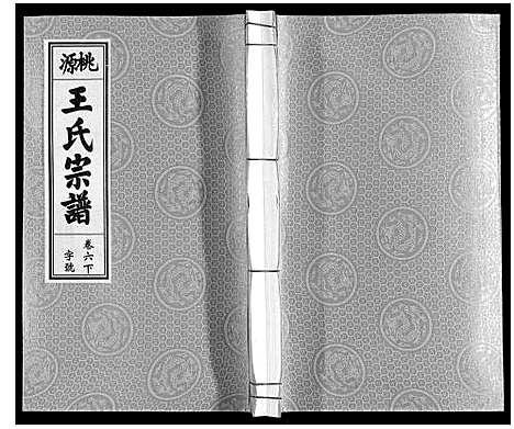 [下载][王氏宗谱_18卷首末各1卷]安徽.王氏家谱_八.pdf