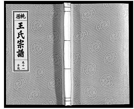 [下载][王氏宗谱_18卷首末各1卷]安徽.王氏家谱_十三.pdf