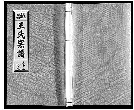 [下载][王氏宗谱_18卷首末各1卷]安徽.王氏家谱_十五.pdf