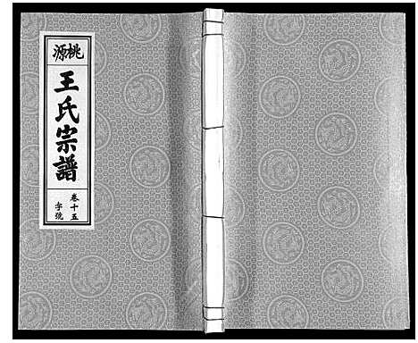 [下载][王氏宗谱_18卷首末各1卷]安徽.王氏家谱_十七.pdf