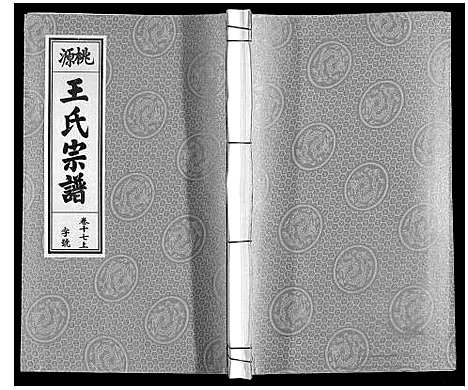 [下载][王氏宗谱_18卷首末各1卷]安徽.王氏家谱_十九.pdf