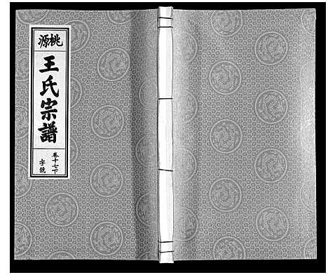 [下载][王氏宗谱_18卷首末各1卷]安徽.王氏家谱_二十.pdf