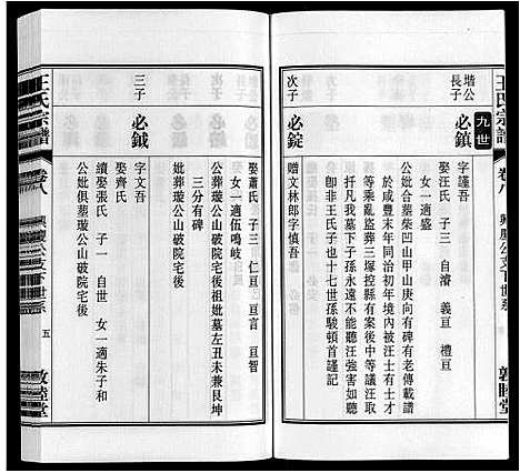 [下载][王氏宗谱_23卷末1卷]安徽.王氏家谱_九.pdf