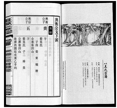 [下载][王氏宗谱_23卷末1卷]安徽.王氏家谱_十三.pdf