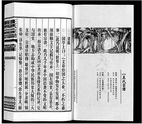 [下载][王氏宗谱_23卷末1卷]安徽.王氏家谱_二十九.pdf