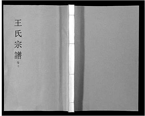 [下载][王氏宗谱_32卷]安徽.王氏家谱_十一.pdf