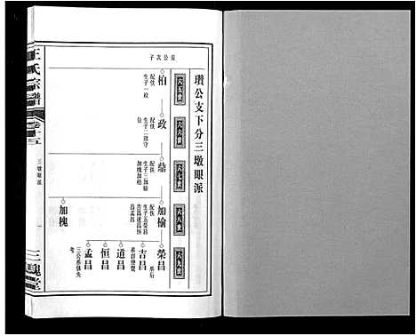 [下载][王氏宗谱_32卷]安徽.王氏家谱_十六.pdf