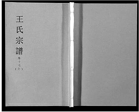 [下载][王氏宗谱_32卷]安徽.王氏家谱_十九.pdf