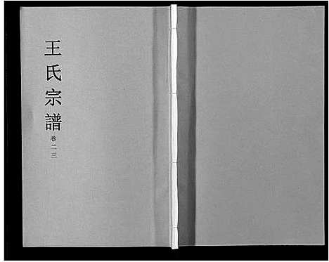 [下载][王氏宗谱_32卷]安徽.王氏家谱_二十八.pdf