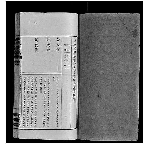 [下载][王氏宗谱_34卷]安徽.王氏家谱_九.pdf