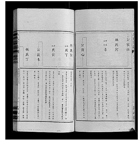 [下载][王氏宗谱_34卷]安徽.王氏家谱_十五.pdf