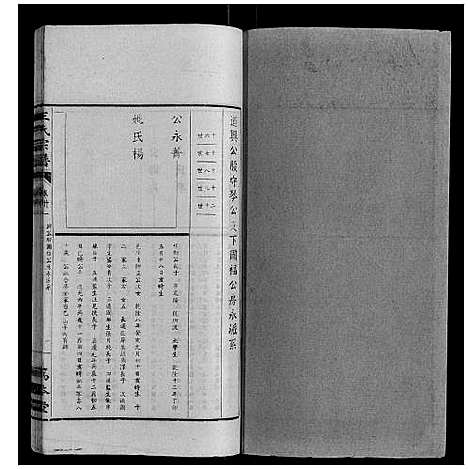 [下载][王氏宗谱_34卷]安徽.王氏家谱_三十.pdf