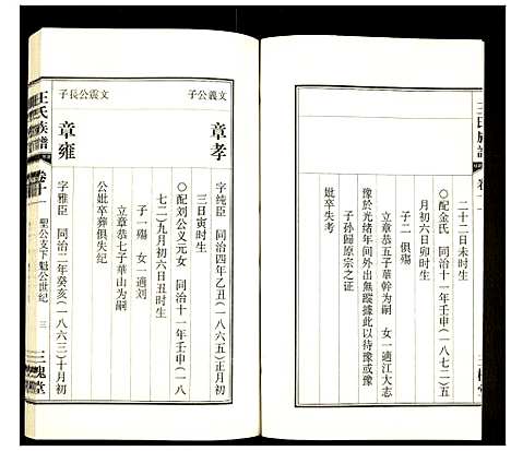 [下载][王氏族谱]安徽.王氏家谱_十一.pdf