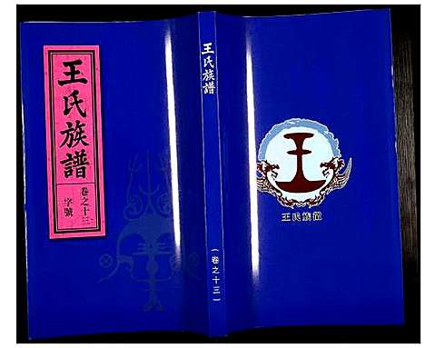 [下载][王氏族谱]安徽.王氏家谱_十三.pdf