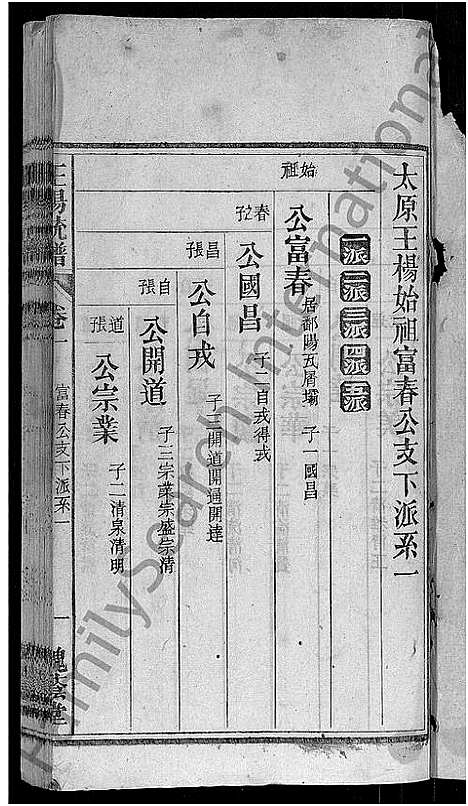 [下载][王杨宗谱_43卷首末各2卷_太原王杨宗谱]安徽.王杨家谱_二.pdf