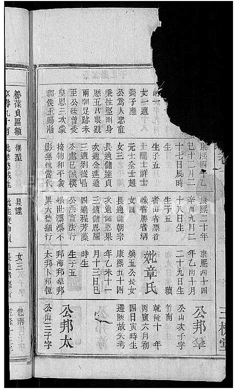 [下载][王杨宗谱_43卷首末各2卷_太原王杨宗谱]安徽.王杨家谱_十一.pdf