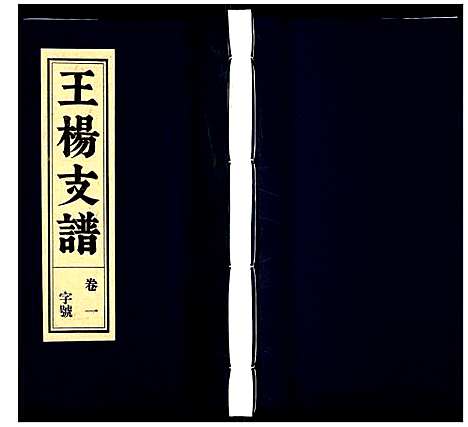 [下载][王杨支谱]安徽.王杨支谱_一.pdf