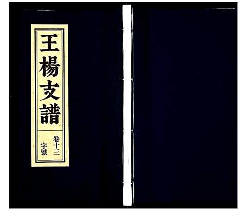 [下载][王杨支谱]安徽.王杨支谱_六.pdf