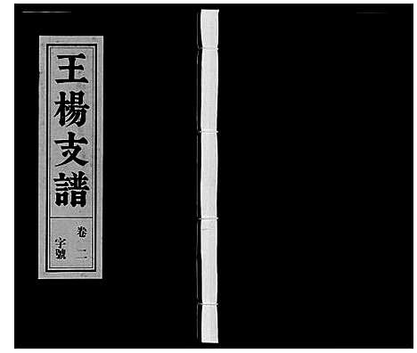 [下载][王杨支谱_13卷首末各1卷]安徽.王杨支谱_二.pdf