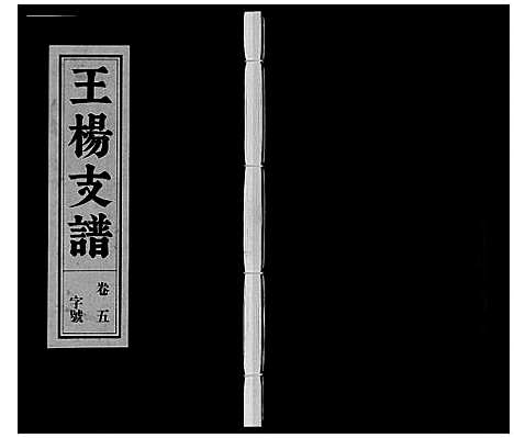 [下载][王杨支谱_13卷首末各1卷]安徽.王杨支谱_五.pdf