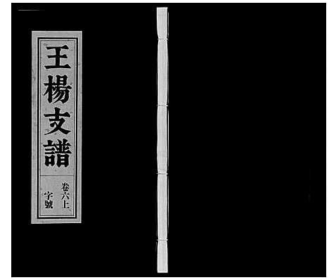 [下载][王杨支谱_13卷首末各1卷]安徽.王杨支谱_六.pdf