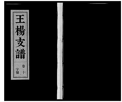 [下载][王杨支谱_13卷首末各1卷]安徽.王杨支谱_十一.pdf