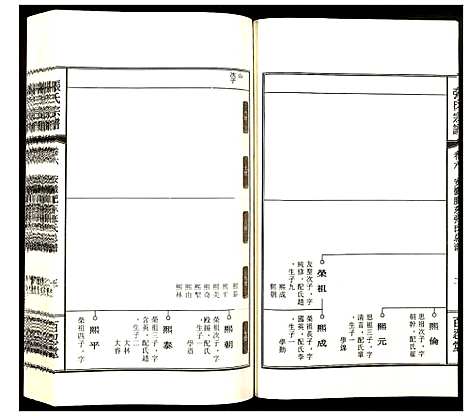 [下载][张氏宗谱]安徽.张氏家谱_六.pdf